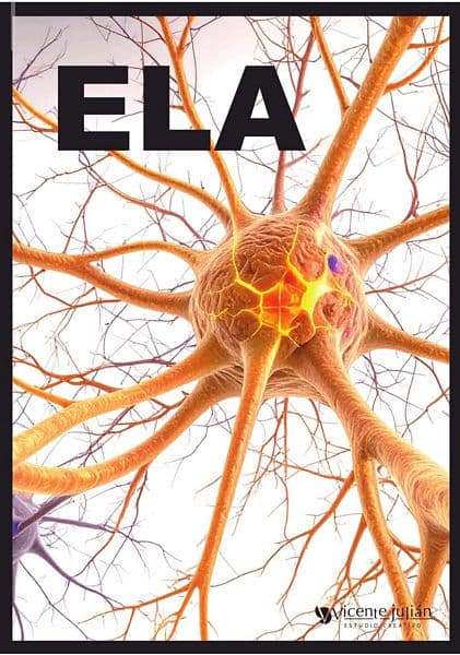 Gonzalo Tejero Langarita - Vicente Chuliá Campos