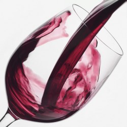 Cata de vinos en Gode