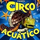 Circo Acutico. The Cirkid