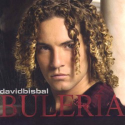 Concierto David Bisbal en Valencia