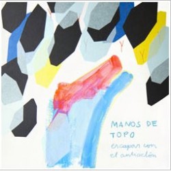 Concierto de Manos de Topo + Fiesta Vinilo