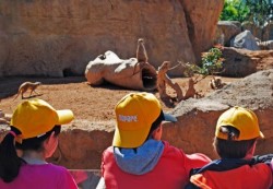 Expedicin frica Verano 2011