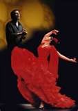 Flamenco en vivo 14/2