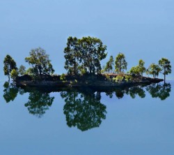 Jornada �rboles monumentales En-Arborar! - Muvim