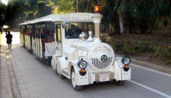 Tren Turstico Jardines del Tria