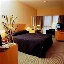 Holiday Inn Valencia en Hoteles en Valencia