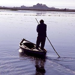 Parque  Albufera en Valencia