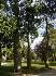 Jardines del Real