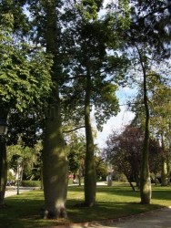 Jardines del Real en Valencia