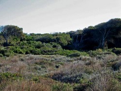 Coleccin Museogrfica Etnolgica  en Valencia