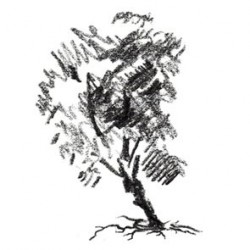 Centro Cultural El Arbol en Valencia
