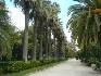 Jardines de Viveros