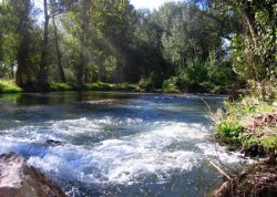 Parque Natural del Tria en Valencia