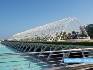 Umbracle