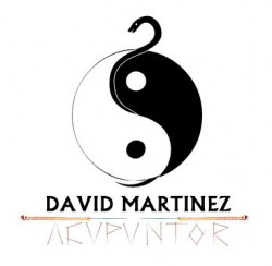 Acupuntor David Martnez  en Salud y Belleza en Valencia